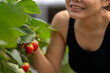 © ultramansk - A woman enjoys picking fresh strawberries in a modern greenhouse. Sustainable farming ensures high-quality, organic fruit production for healthy eating and eco friendly agriculture practices.