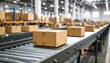 © Vani - Cardboard boxes on conveyor belt in warehouse (2)