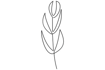 Wall Mural - botanical one line leaves vector illustration with elegant continuous contour outline design