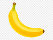 © Only Flags - Watercolor illustration of a single ripe banana with yellow peel, simple and vibrant tropical fruit design. Vector.