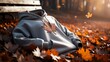© Mia - White Hoodie on Autumn Leaves