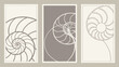 © Vector_Di-cut_Sets - Vector Minimalist triptych featuring abstract spiral designs neutral tones, evoking calmness