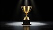 © Asad - Golden trophy illuminated by spotlights on a dark stage