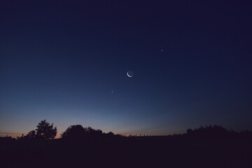 Wall Mural - morning old moon with stars, planets and rural countryside tree silhouettes.