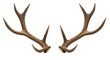 © Great - Pair of deer antlers against a black background.