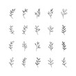© NelaRov - Linear Leaf Sprigs Collection. Linear Leaf Sprigs Collection a minimalist set of fine line botanical sprigs with delicate leaves, perfect for logos, eco packaging, and branding.