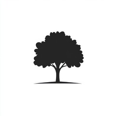 silhouette of a tree