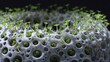 © Justlight - Artificial coral substrate fosters marine algae growth, showcasing innovative solutions for marine ecosystem restoration and biodiversity enhancement