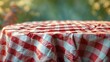 © Lasvu - Table covered with red and white checkered tablecloth outdoors with blurred greenery background.