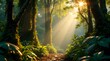 © Pro Clipart - A magical, enchanted forest with golden sunbeams streaming through the lush green canopy. A mysterious path leads through the vibrant, ancient woods.