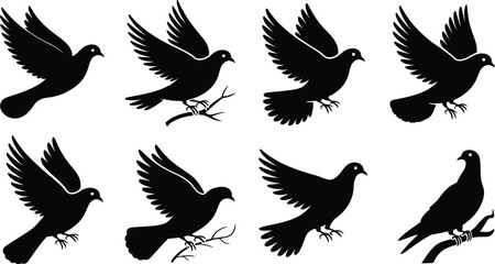 silhouette collection of birds in flight and perched