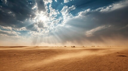 Wall Mural - Dust swirls across a vast desert plain as sunlight breaks through layered clouds, casting striking beams and creating a captivating natural atmosphere.