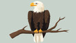 © Art - Majestic Eagle Cartoon Vector Sitting on Branch Illustration