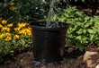 © Natallia - A close-up stock video captures rainwater flowing from a drainpipe into a metal garden barrel during the summer