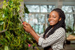 © zinkevych - Female flower shop assistant cutting taking care of plants and looking contented