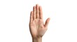 © loff - Hand Raised Stop Gesture