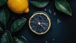 © Zhiandra_Dsgn - Lemon Fruit Fresh Water Slice Leaves