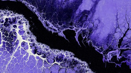Wall Mural - Abstract Purple Artistic Background Design
