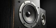 © NovaShots - Close-up of Black Wooden Speakers High-Fidelity Audio System, Speaker Cone Detail audiophile, bookshelf speakers