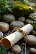 © Adam - A rolled parchment tied with twine rests amongst smooth stones and verdant moss, bathed in soft sunlight; a tranquil, natural setting