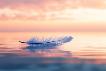 Wall Mural - feather is floating on the surface of the water. the feather is white and the water is blue. the ima