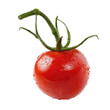 © akun - Single, ripe tomato with stem (1)