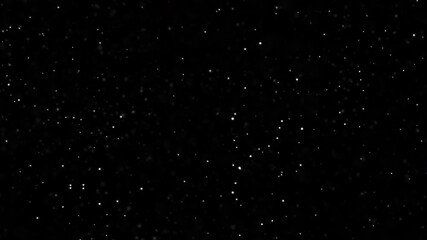 Wall Mural - Loop glow white dust stars particles falling down animation on black abstract background. Animation of fiery white  glowing flying ember burning ash particles.