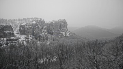 Wall Mural - winter scene: frosty cliffs and bare trees in black & white