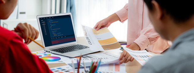 Wall Mural - software development programming on computer screen for brisk application and program coding