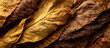 © Daniel - Close up of dried tobacco leaves in rich golden brown tones overlapping to create an abstract natural texture for backgrounds and designs