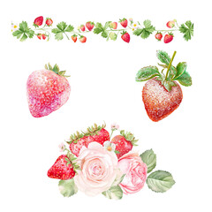 Wall Mural - Beautiful watercolor strawberries and roses with green leaves, perfect for decoration. Strawberry floral isolated on white background, Transparent Background