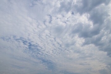 Wall Mural - Clouds in the sky