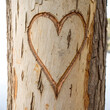 © Najmin - Heart carved deeply into tree bark captured in close-up nature detail symbolizing love and memory