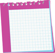 © Aniqa Ghafar - A pink and blue notepad with a grid pattern and a torn edge, isolated on a white background
