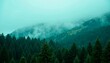© Lightning - A dense green forest on a misty mountain, serene natural landscape, lush evergreen scenery, atmospheric mountain view, and tranquil forest environment.