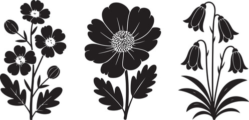 Vector black silhouettes of flowers isolated on a white background