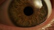 © kinomaster - Macro shot of human brown eye with visible iris texture