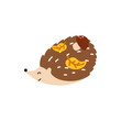 © alia.kurianova - Cute vector illustration of a hedgehog. Perfect for childrens designs, autumn themes, forest animals collections, and seasonal prints