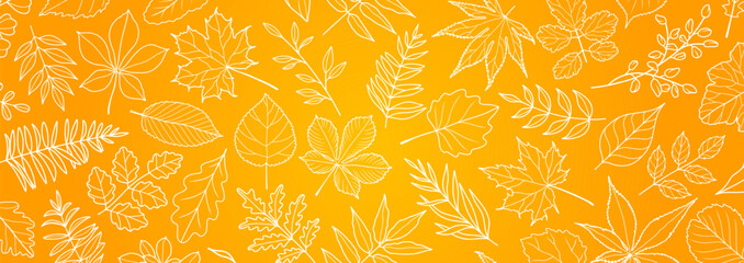 abstract autumn leaf fall on yellow background with leaves hand drawn in line style. vector illustra