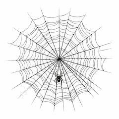 spider web vector illustration