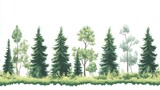 42.A stylized vector illustration of a mixed woodland forest border, showcasing rows of green fir trees and poplars with detailed trunks and foliage. The scene is framed against a plain white