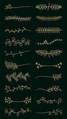 Wall Mural - elegant floral dividers with intricate leaf and flower designs. these floral dividers add a touch of