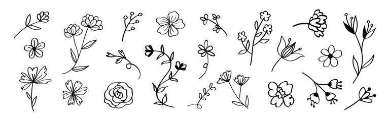 Wall Mural - a collection of black and white floral doodles. these floral sketches include various flowers and le
