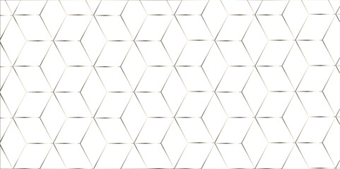 Abstract line background. abstract black lines with white background creative and geometric shape with white luxury pattern and paper texture and geometric shape with white luxury style.	
