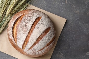 Wall Mural - fresh bread and green wheat spikes on grey table, flat lay. space for text