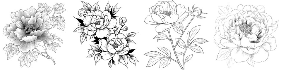 Modern black and white contour simple drawing of a peony flower