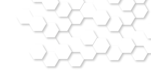 Wall Mural - abstract white background with hexagon and hexagonal background. luxury white pattern with hexagons.