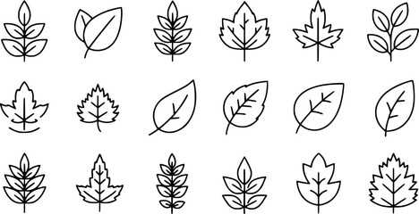 Wall Mural - Simple line set of leaf icons. Leaves thin line icon set. Symbol collection in transparent background. Editable vector stroke.
