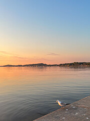 Wall Mural - colorful orange hues fill the sky over lake michigan on a hot summer night as a seagull walks along 