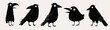 © local_doctor - Doodle art vector features five quirky black crows with big eyes, set against an off-white background. The hand-drawn, cartoon style uses simple shapes and textured black brushstrokes.